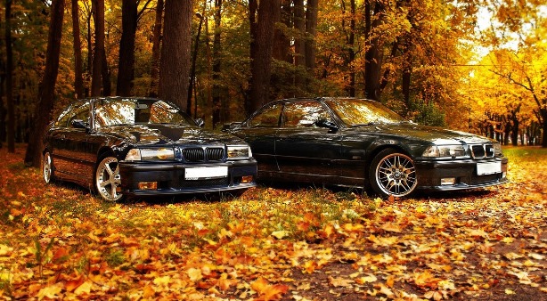 Приглашаем на осенний, благотворительный фотосет!