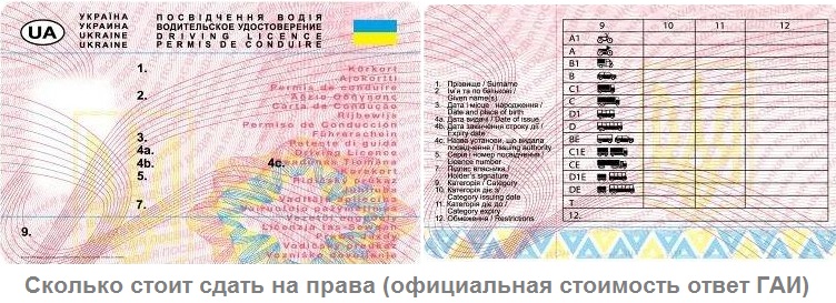Сколько стоит сдать на права?